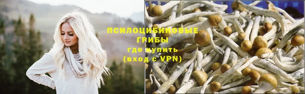 шишки Аркадак