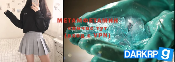 шишки Аркадак