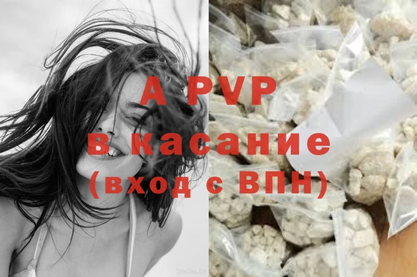 шишки Аркадак